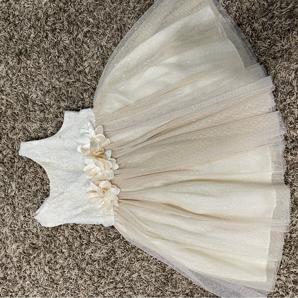 Youngland Girls tulle and gold dress size 3t - Picture 3 of 11